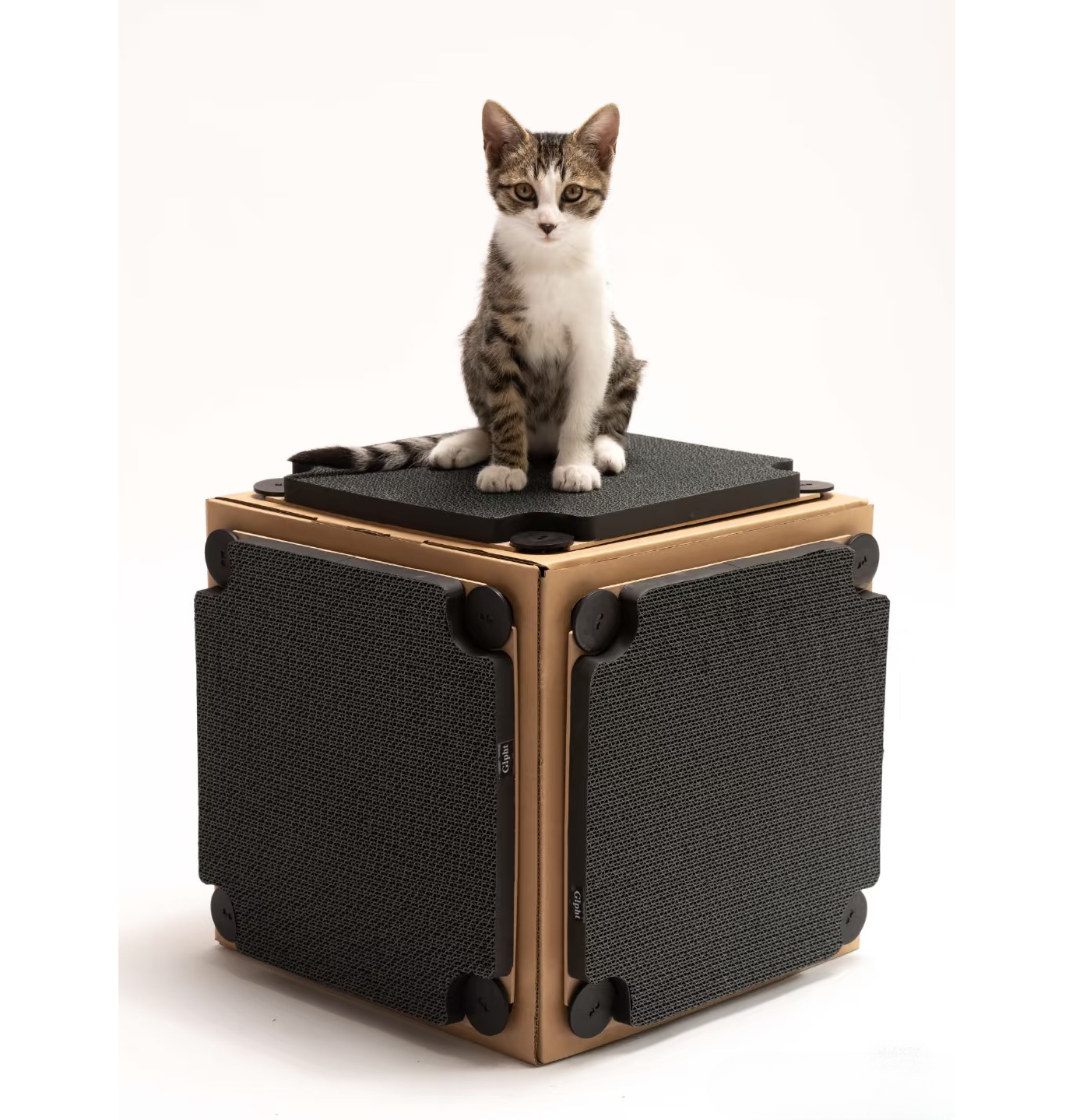 Side view of Multi-Cat Cardboard Cat House featuring an arch design. Great for cats to scratch, hide, and play in a safe, eco-friendly space. 