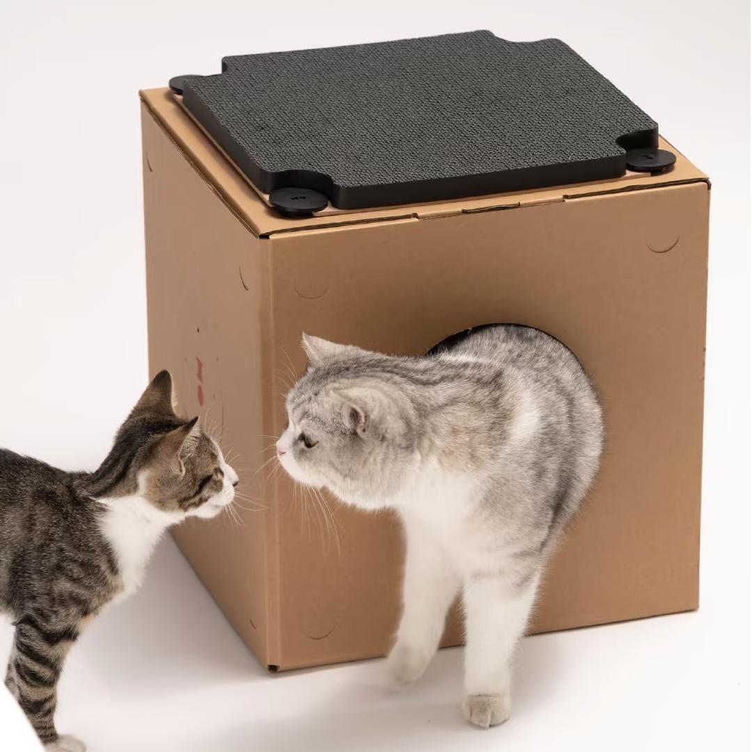 Top view of Multi-Cat Cardboard Cat House with an integrated tunnel, providing a fun and safe space for cats to explore. Lightweight, durable, and ideal for solo or group play. - KtKitty