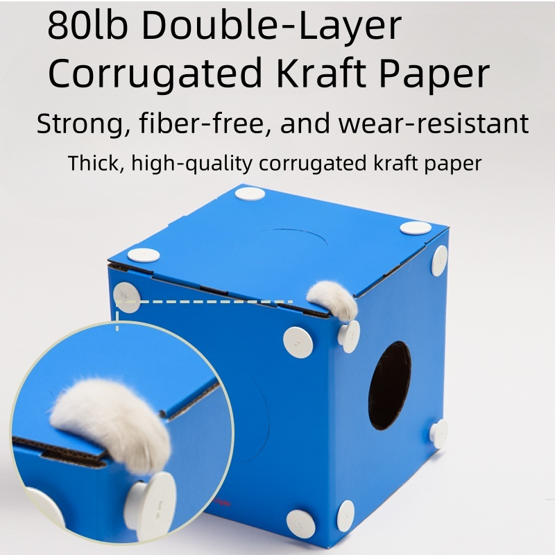 Multi-Function Cardboard Cat Tunnel – Play, Scratch & Hide