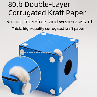 Multi-Function Cardboard Cat Tunnel – Play, Scratch & Hide