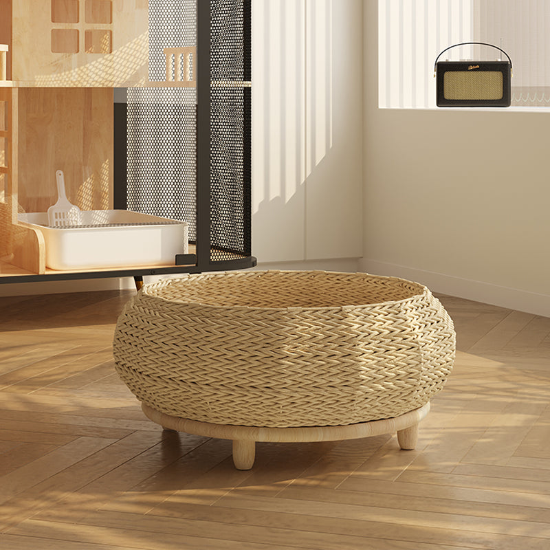 Durable scratch-resistant rattan bed in modern decor - KtKitty