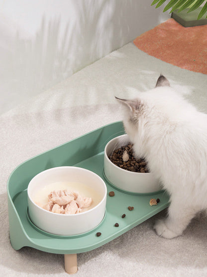 Perfect Dual Cat Bowl Set for Daily Use -KtKitty