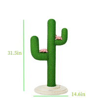 Cactus (Small)