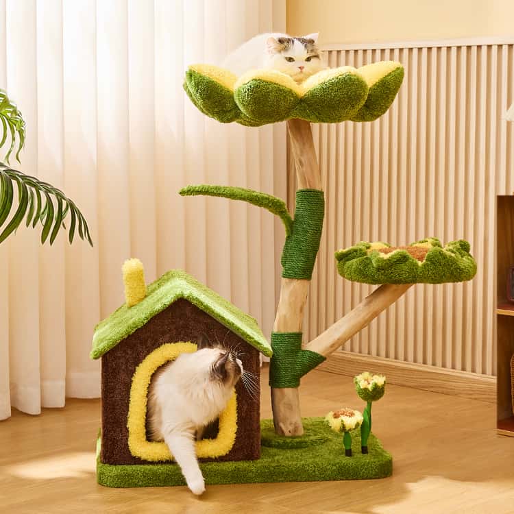 Sunflower Cat Tree Tower – Multi-Level Climbing & Scratching Post with cats lounging and playing.