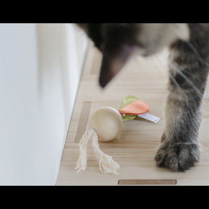 Cat-approved wooden mint toy for play and dental health -KtKitty