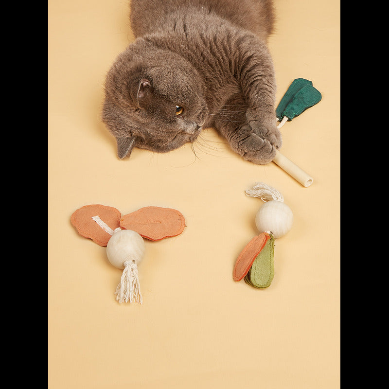 Wooden onion chew toy for energetic cats -KtKitty