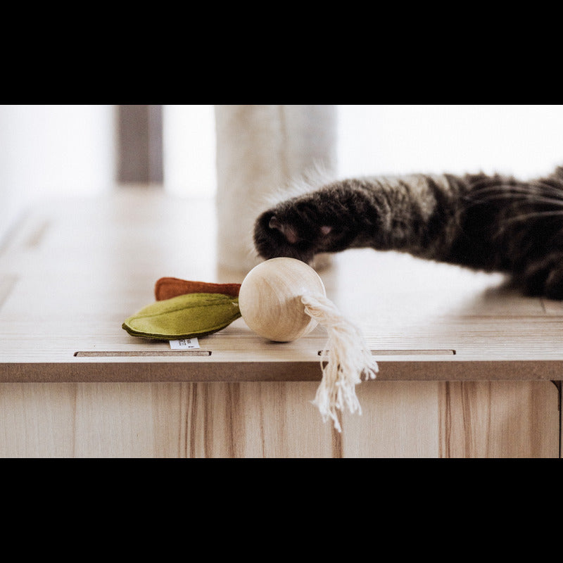 Wooden onion-shaped toy for natural cat entertainment -KtKitty