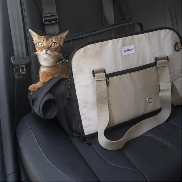 Durable reinforced bottom panel for stability-KtKitty