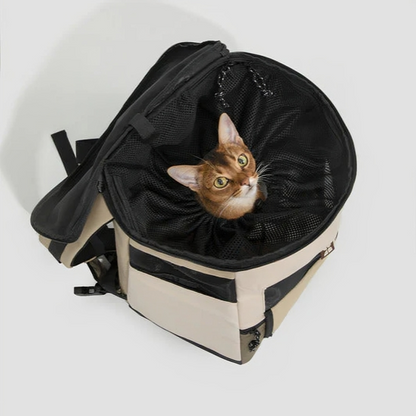 Thickened back padding enhances comfort and reduces fatigue during extended carrying. -KtKitty