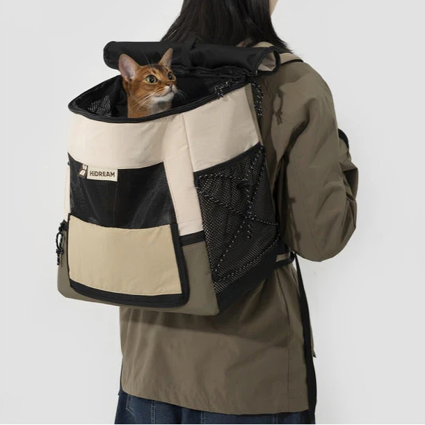 Large breathable mesh areas provide continuous ventilation, preventing overheating and discomfort. -KtKitty