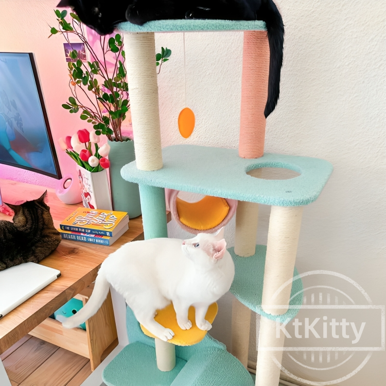 Durable and Stable Base for Safety-Wonderland Cat Tree -KtKitty