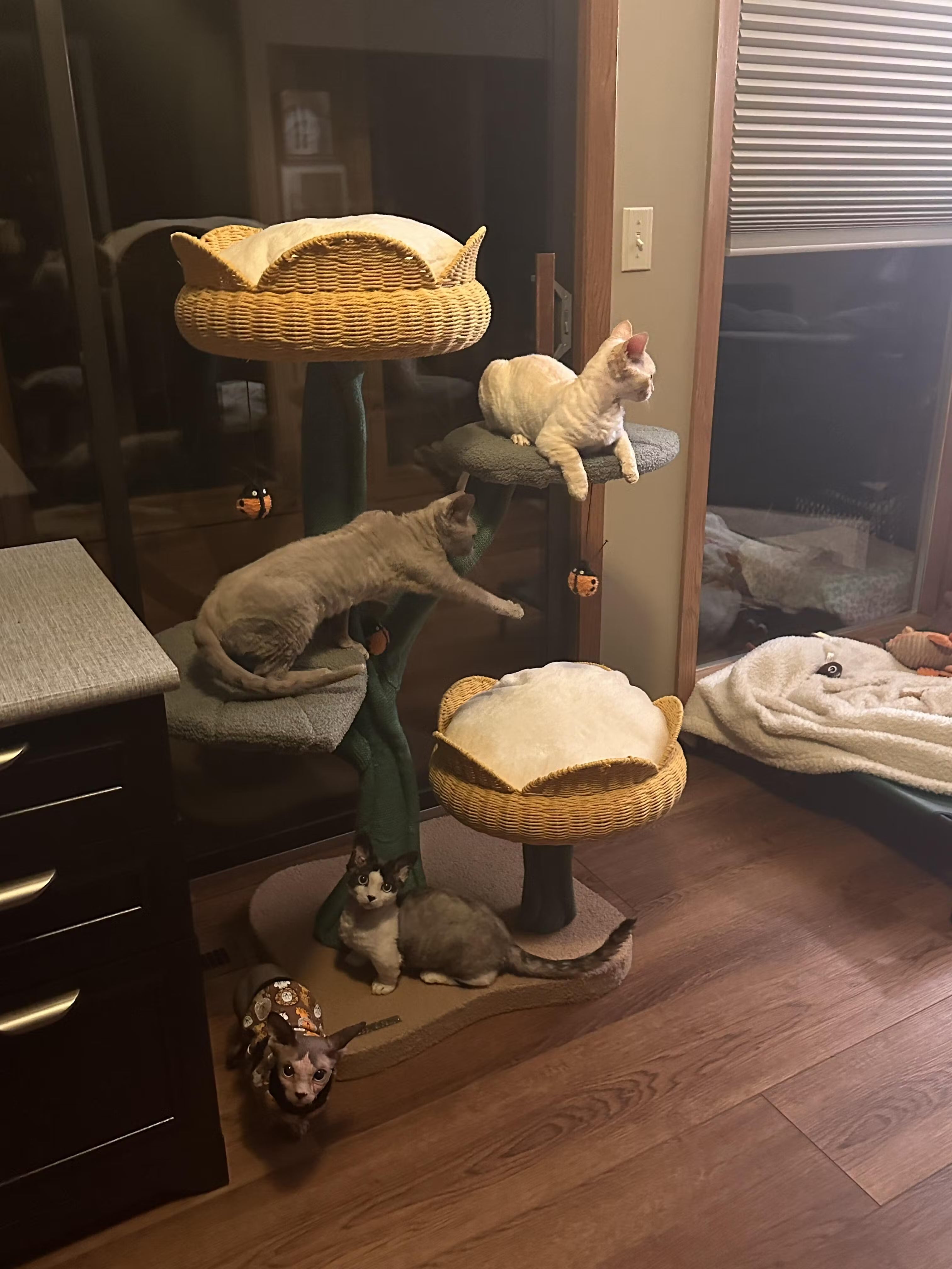 Wobble-free cat tower for multiple small cats playing