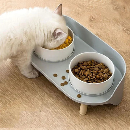 Stylish & Functional Cat Feeding Bowl -KtKitty