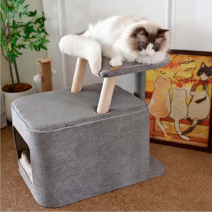 Shared Cat Furniture Chair — Cozy Spot for You and Your Feline