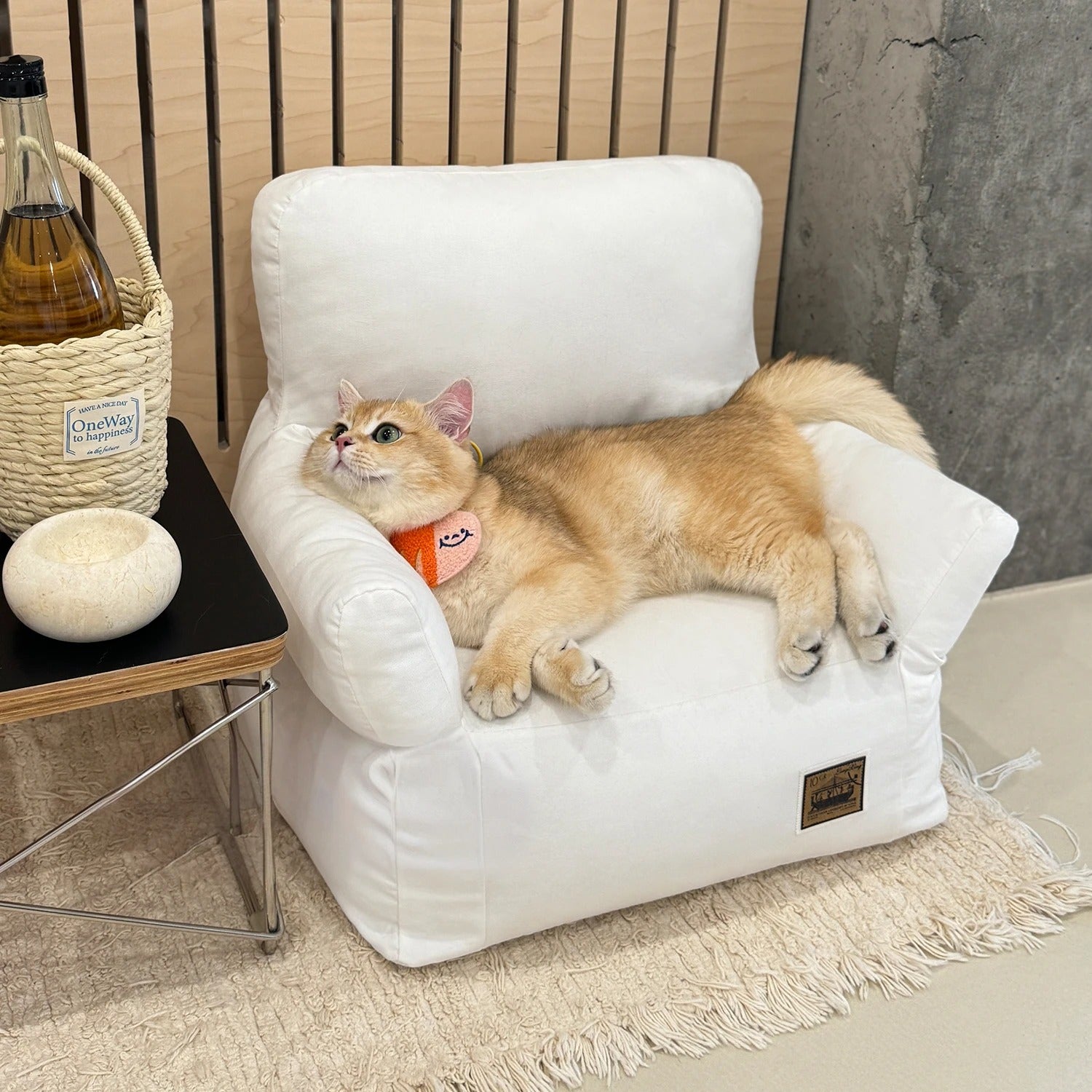 Durable dense nylon edging for long-lasting use – KtKitty