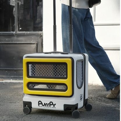 Retractable Handle Design of Square Cat Carrier – Ergonomic and Durable