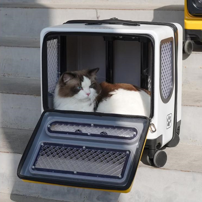 Durable Zipper on Cat Carrier for Secure Closure and Easy Access