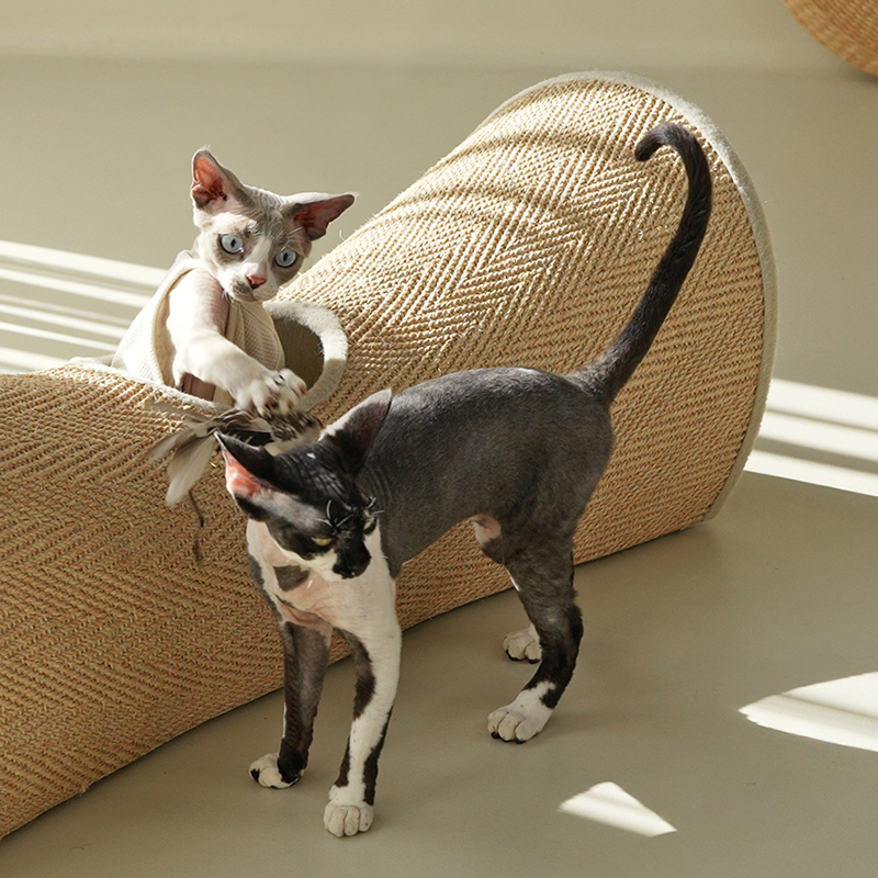 Internal hanging ball toy designed to stimulate playful behavior