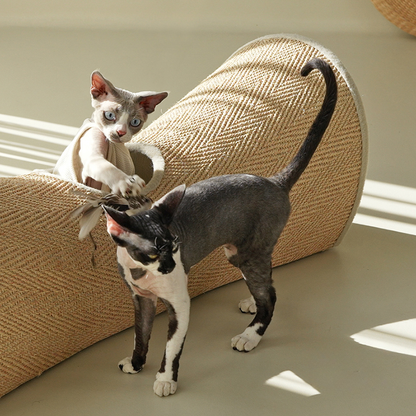 Internal hanging ball toy designed to stimulate playful behavior