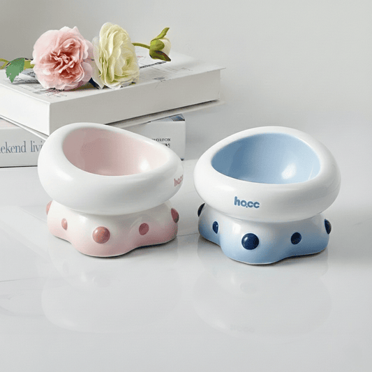 KtKitty Ceramic Raised Feeding Bowl for Cats featuring a 15-degree tilted design for ergonomic eating.