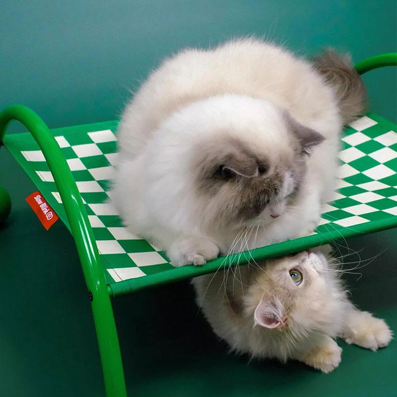 Two cats using a Memphis-Style Elevated Cat Hammock & Woven Wool Cat Cave for play and rest.