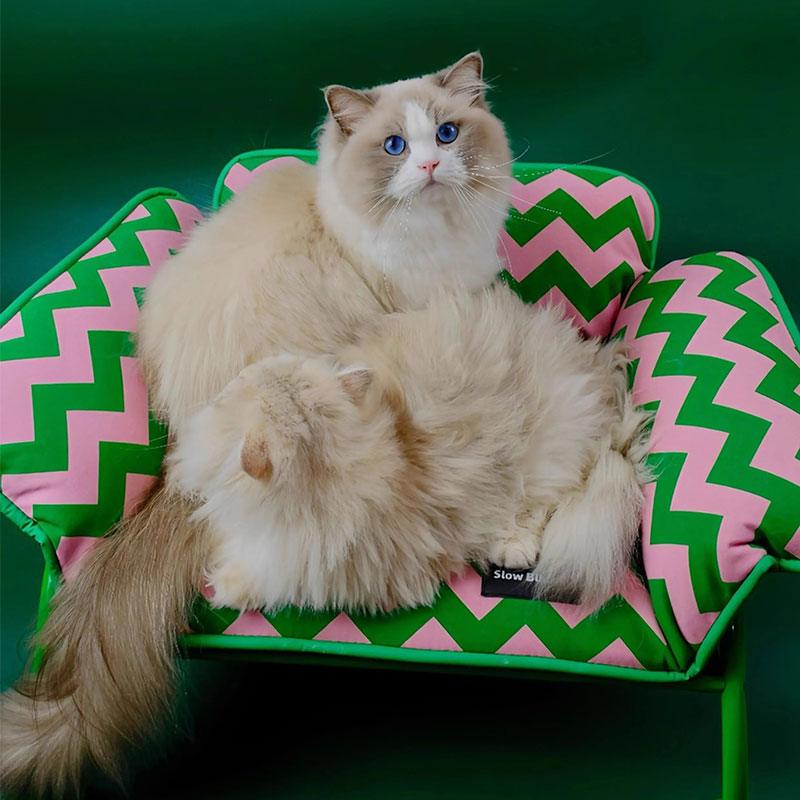 Memphis-Style Elevated Cat Hammock & Woven Wool Cat Cave with two fluffy cats lounging comfortably.