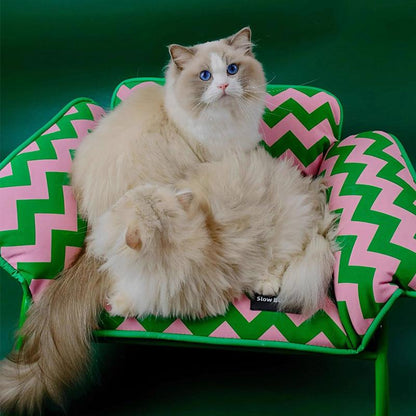 Memphis-Style Elevated Cat Hammock & Woven Wool Cat Cave with two fluffy cats lounging comfortably.