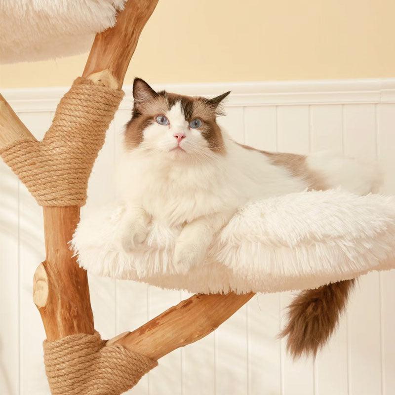 Durable and Stylish Cat Tree ¨C Clouds Deluxe Design -KtKitty