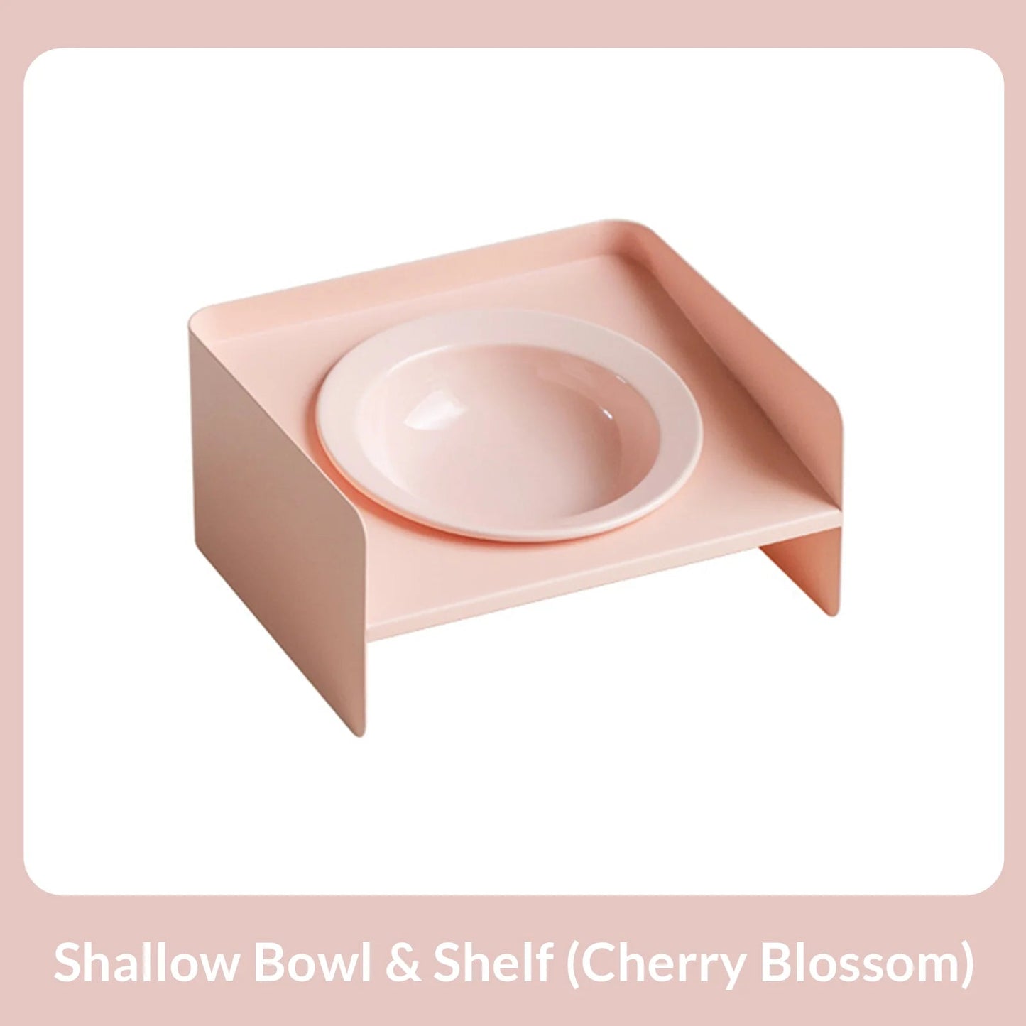 Easy-to-Clean Ceramic Bowl for Safe Pet Feeding -KtKitty