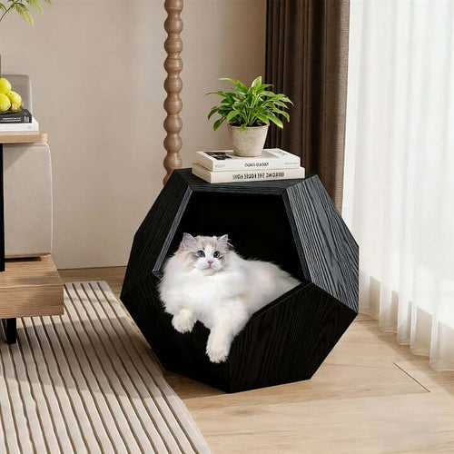 Multipurpose Wooden Cat House – Modern Furniture for You and Your Cat