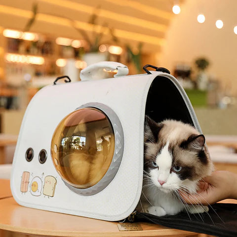 Spacious design for pets up to 16 lbs -ktkitty