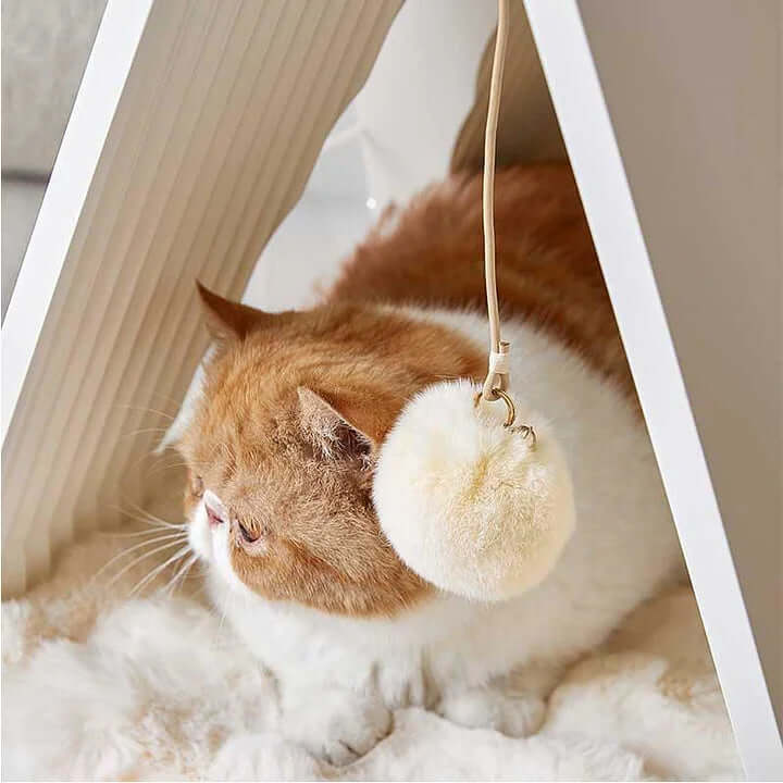 Orange and white cat relaxing inside a cozy modern cat house, featuring a soft furry pom-pom hanging.