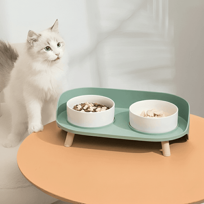 KtKitty Elegant Bone China Double Cat Bowl in a minimalist home.The 15-degree tilted, elevated design provides an ergonomic and stylish feeding solution for cats.