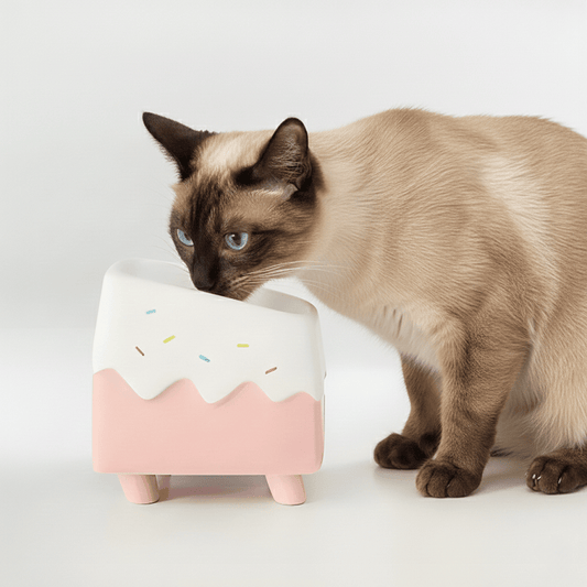 KtKitty Ergonomic Ceramic Cat Bowl with a 15-degree tilt for neck protection.  This elevated, whisker-friendly feeding station combines stylish design with healthy eating habits.