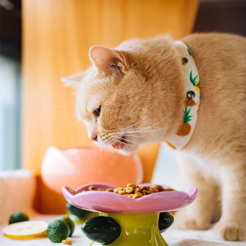 Easy-to-Clean Flower Shape Cat Bowl -KtKitty