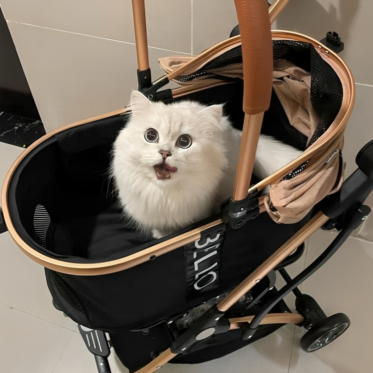 One-button folding cat stroller for compact storage – KtKitty
