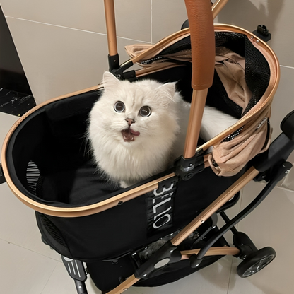One-button folding cat stroller for compact storage – KtKitty