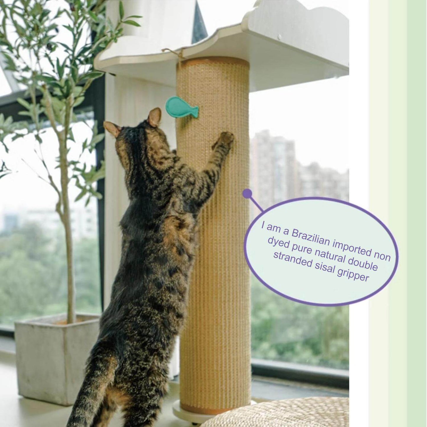 Window Cat Tree Scratching Post, Multi-Scene Application