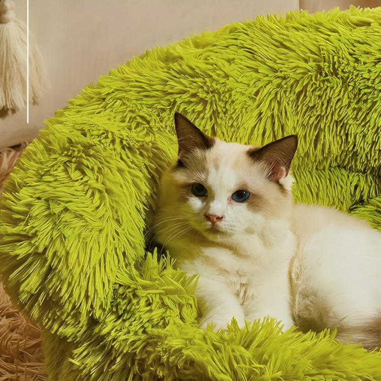 Textured cat sofa in stylish home decor - KtKitty