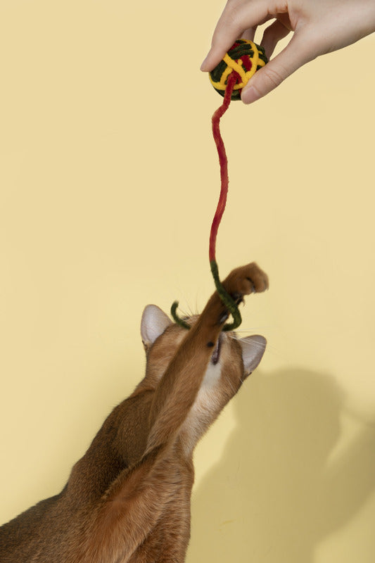 Interactive yarn ball cat toy with bell, designed for kitten play and teething.