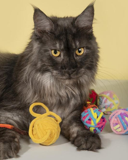 Kitten interacting with the yarn ball cat toy, promoting self-entertainment.