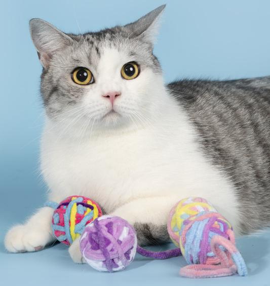 Yarn ball cat toy with bell, perfect for interactive play and development.