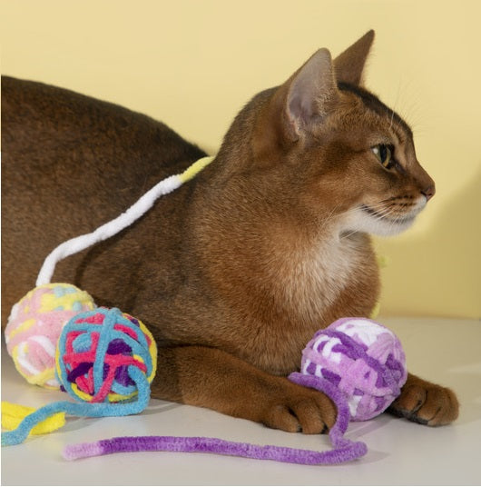 Kitten interacting with the yarn ball cat toy, promoting self-entertainment.