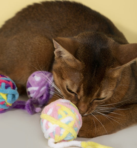 The durable design of the yarn ball toy, ideal for teething kittens.