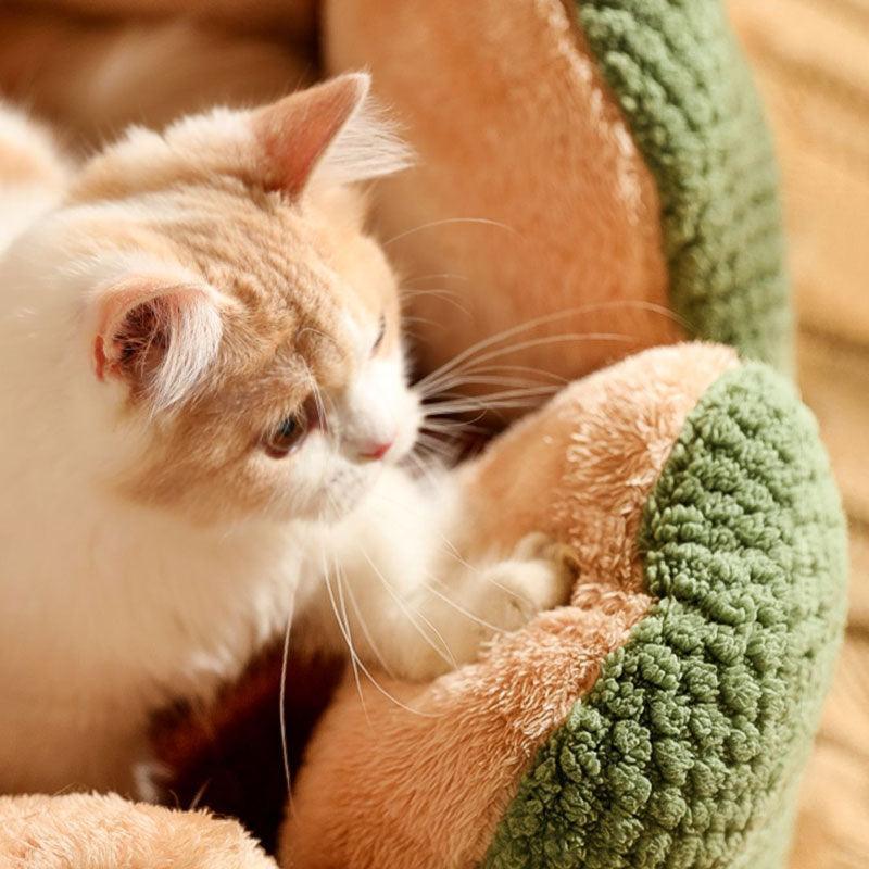 Kennel Flower Cat Bed Nest – Soft, Washable & Cozy Cushion for Cats with a playful cat resting in it.