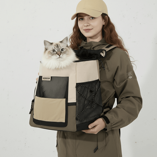 Backpacking Kitty Best Cat Backpacks for Travel & Hiking | Secure & Breathable | KtKitty