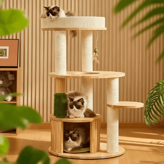 Close-up of a Solid Oak Multi-Level Cat Tree for small and short-legged cats in a realistic home.