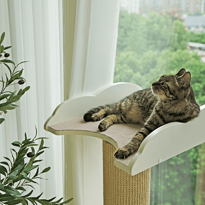 Window Cat Tree & Scratching Post positioned next to a bright window with soft sunlight streaming in.