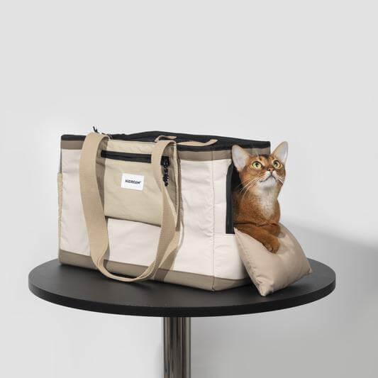 Spacious carrier designed for large cats or small dogs, providing ample room for movement-ktkitty