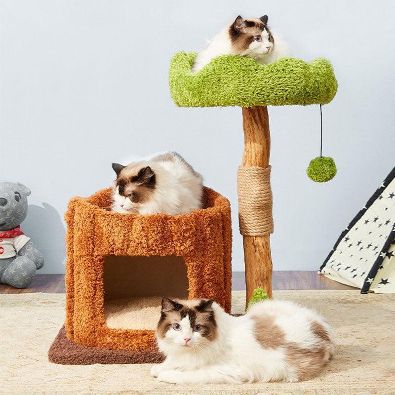 Multiple platforms and resting areas for cats of all sizes.